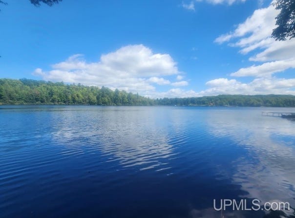 W Tamarack Lake Road lot: 5, Watersmeet, MI 49969