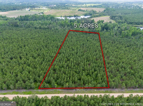 Tract 9 Sanderling, Alma, GA 31510