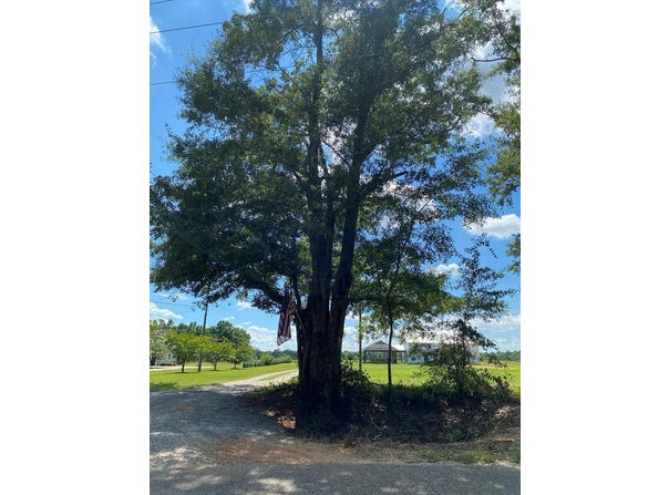 16+/-ac National Rd (16+-ac), Dothan, AL 36301