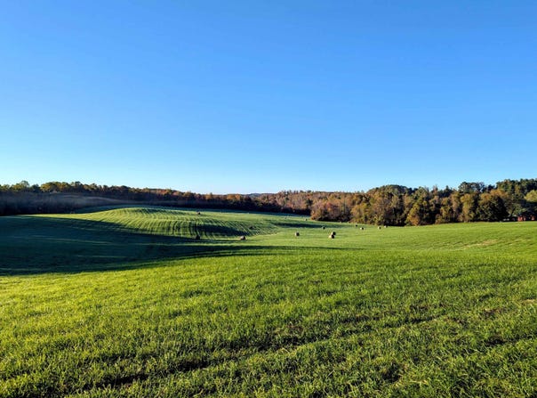 Daniels Run Road, Check, VA 24072