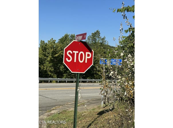 Carringer Circle, Tellico Plains, TN 37385