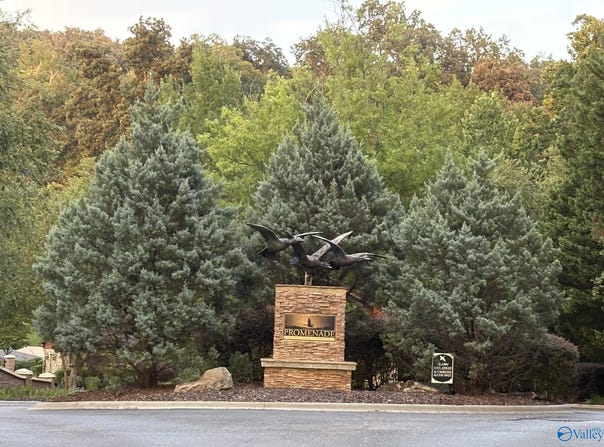 1930 Lookout Mountain Drive, Scottsboro, AL 35769