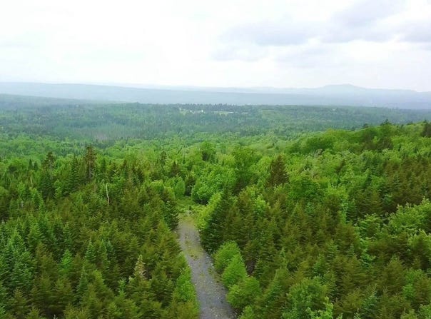 14 Alpine Ridge, Greenville, ME 04441