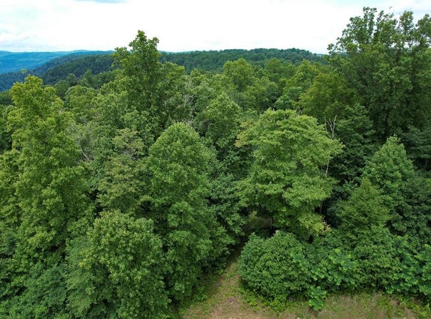 Tbd Pheasant Chase, Ararat, VA 24053
