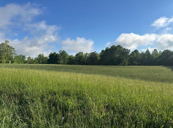 1 Speck Rd./Pittman Rd., Albany, KY 42602