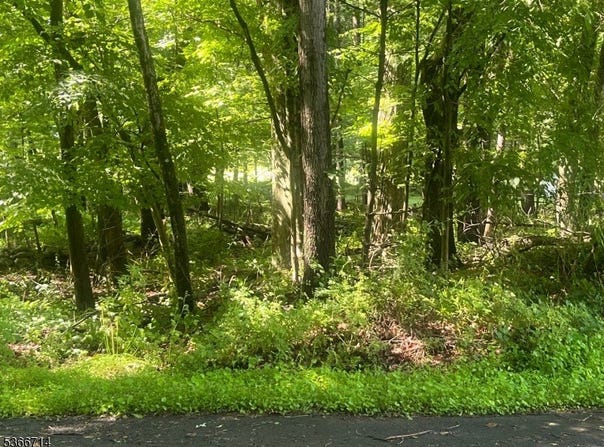 112 North Ct, Montague Twp., NJ 07827