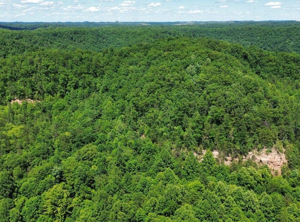 450 Ky Hwy 542, Jackson, KY 41339