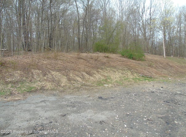 Rte 435, Covington Twp, PA 18424