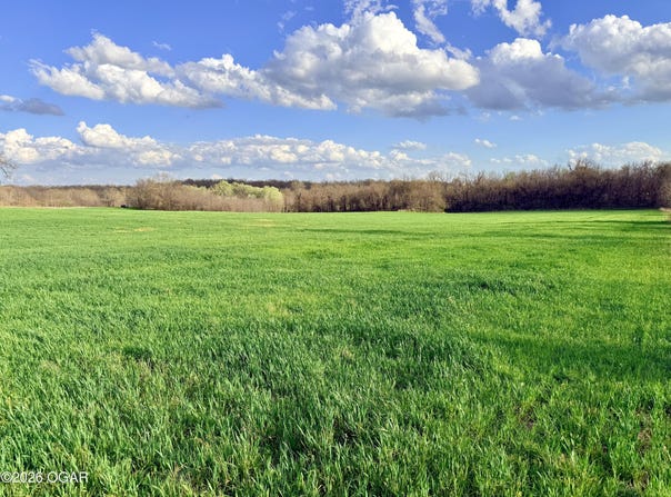 0001 FF Highway, Everton, MO 65646