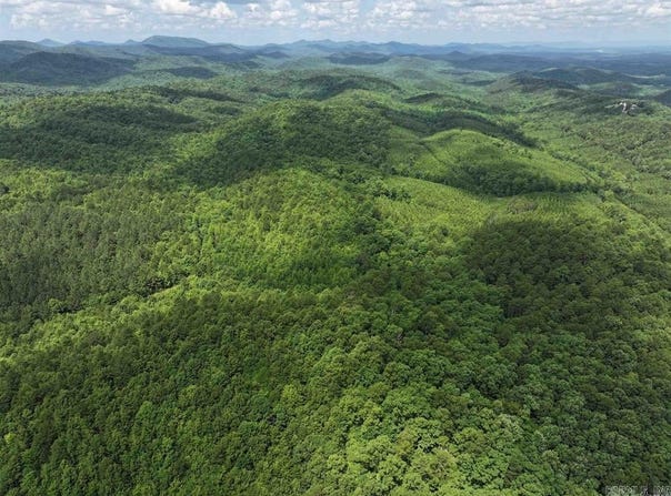 Polk Road 61, Mena, AR 71953