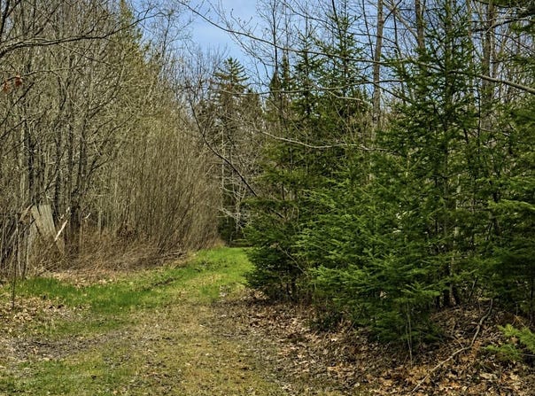 Kinstone Lane, Trenton, ME 04605
