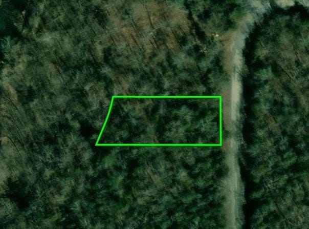 1305 Riverview Dr, Horseshoe Bend, AR 72512