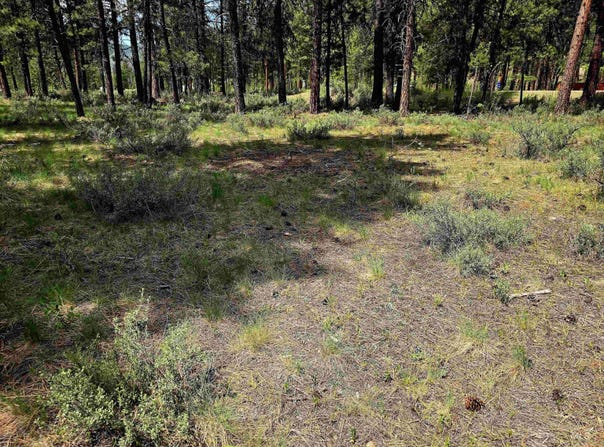 Tbd Victory Ln, Lowman, ID 83637