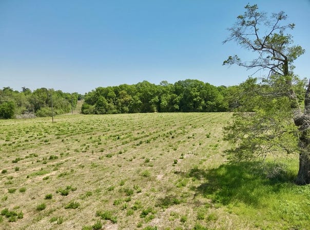 11.97 acres Omussee Road, Dothan, AL 36303