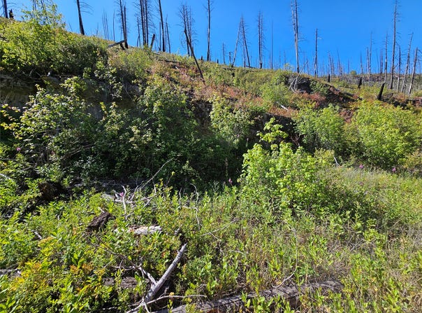 80 Upper Packer Gulch Road, Drummond, MT 59832