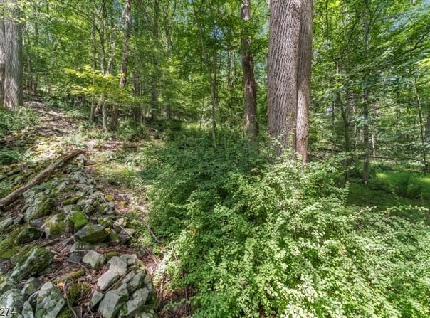 0 Sweet Hollow Road, Holland Twp., NJ 08848