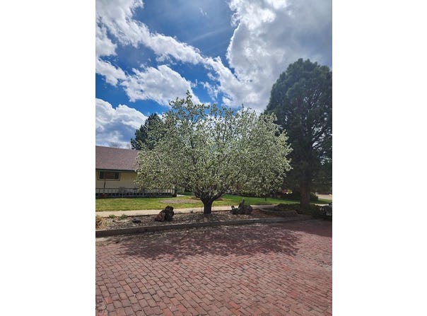 718 E Second St, Trinidad, CO 81082