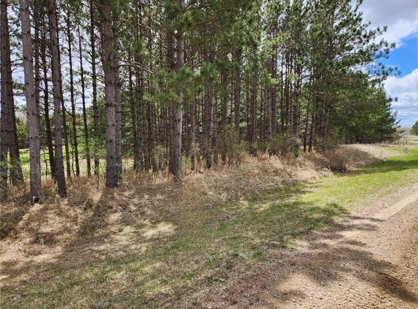 Xxx Goldfinch Circle NE, Miltona, MN 56354