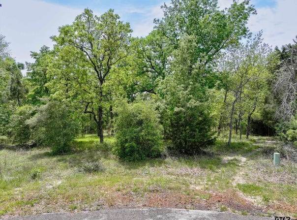 8950 Timber Ridge, LaRue, TX 75770