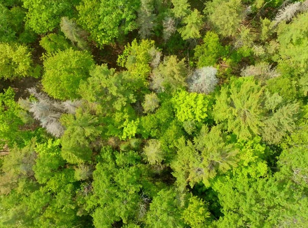 Tamarack Trail lot: 749, Beaver Island, MI 49782