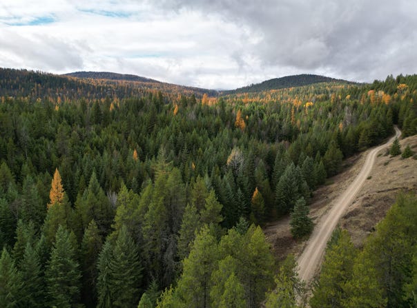 TBD SCHLEGEL RANCH LOT 12 RD, IONE, WA 99139