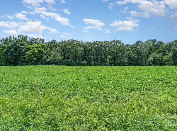 Leonard Morgan Road, Marshville, NC 28103