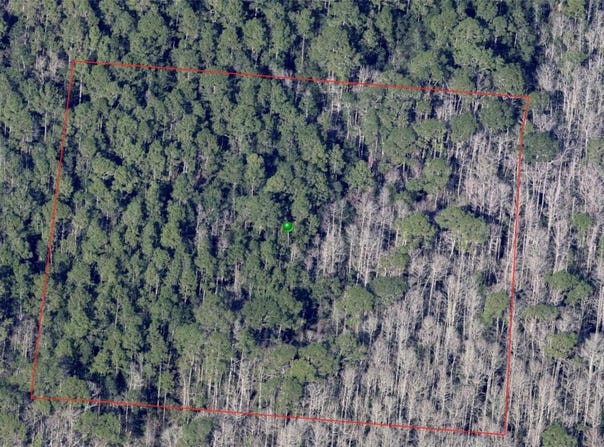 NORTH STREET, DE LEON SPRINGS, FL 32130