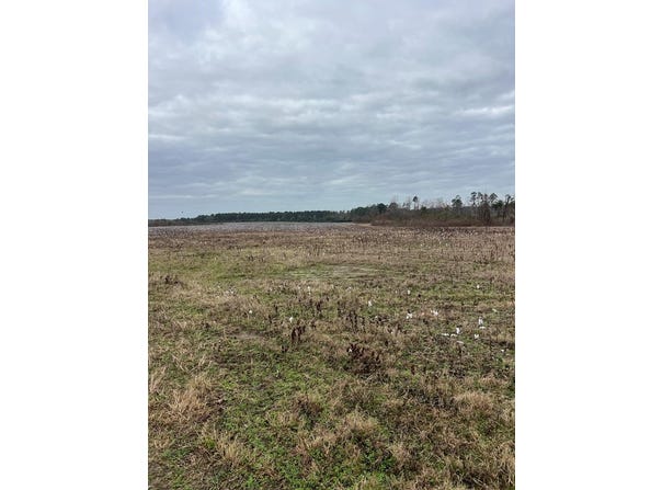 Franks Road, Fitzgerald, GA 31750