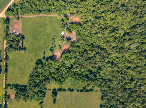 1559 Cowskin Road, Southwest City, MO 64863