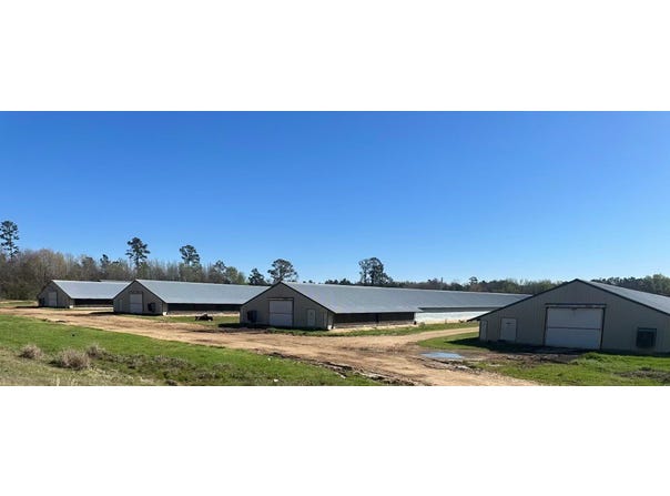 125 Columbia Road 51, Magnolia, AR 71753