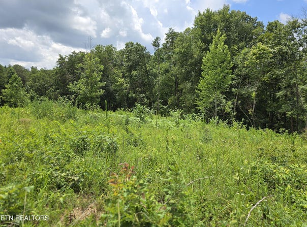 230 Wells Rd, Powell, TN 37849