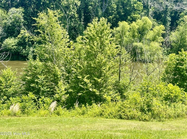 281 Old Sr 1801, Scotland Neck, NC 27874