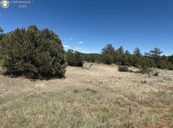 520 W View Road, Cotopaxi, CO 81223