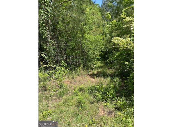 0 Rocky Mount, Greenville, GA 30222