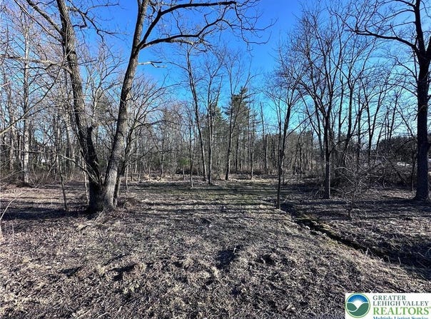 Walnut Drive, Lehigh Twp, PA 18038