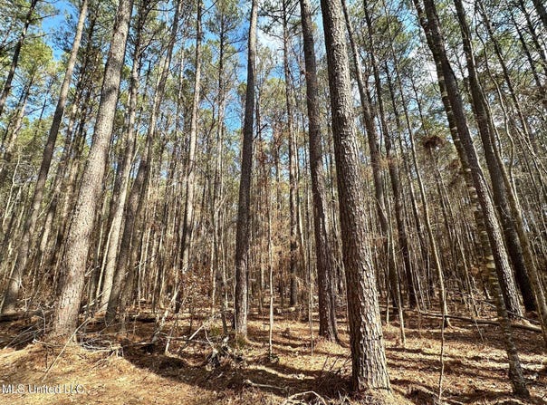 6 Cut Off Road, Carthage, MS 39051