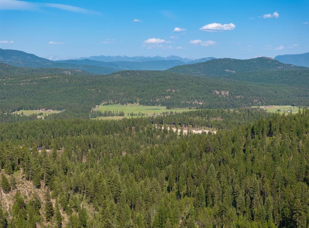 Skyline Ridge Ranch Road, Whitefish, MT 59937