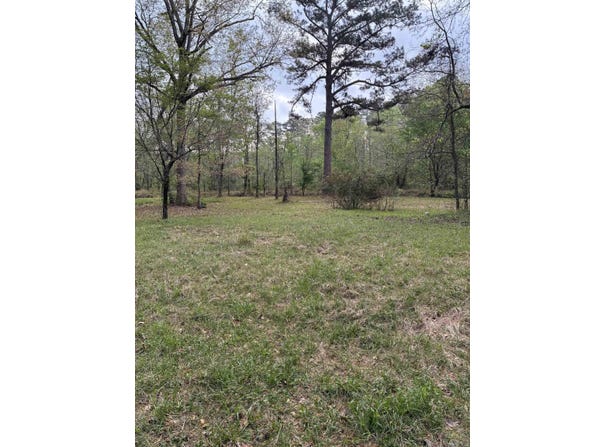 365 Ouachita 312, Chidester, AR 71726