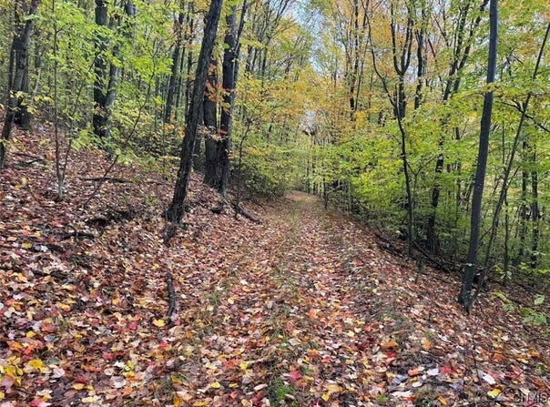 Co Rd 5, Genesee, NY 14770