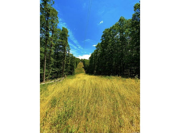 000 County road 9 Road, Kingston, AR 72742