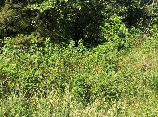Lot 19 Lockhart  LN, Bella Vista, AR 72715