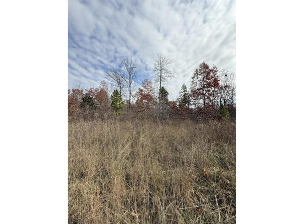 Forest Road 3169, Winona, MO 65588