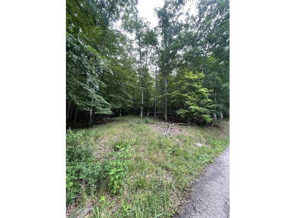 Lot 6 Moore Road, Lavalette, WV 25535