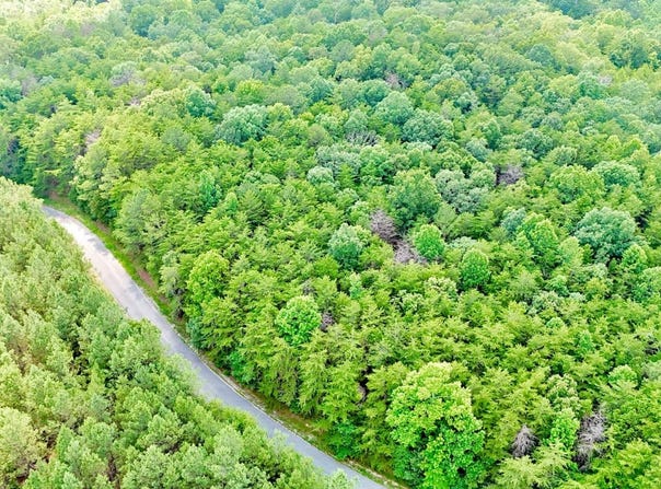 0 County Road 325, Double Springs, AL 35553