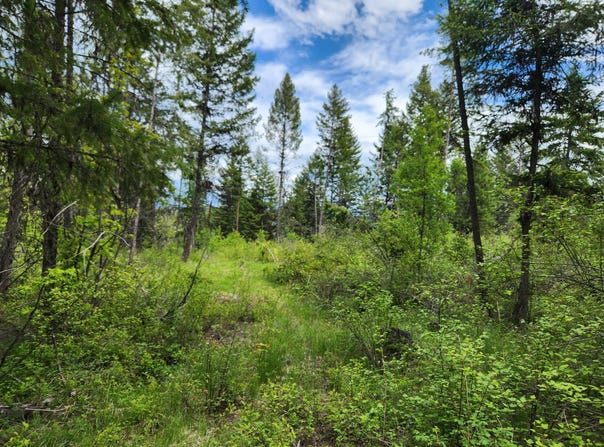 318 ROCKABYE LN, CURLEW, WA 99118