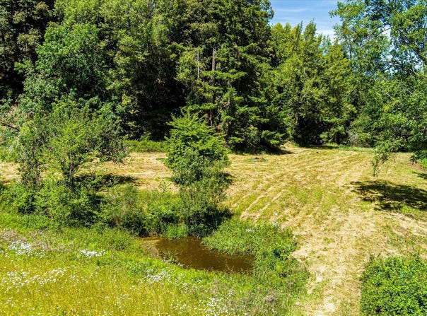 1540 Warren Creek Road, Arcata, CA 95521