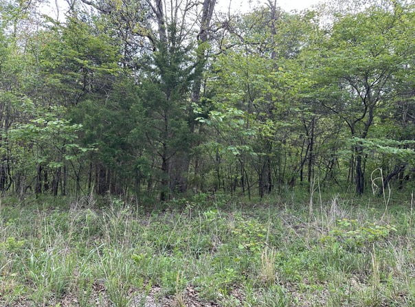 Falling Rock Road, Elkland, MO 65644