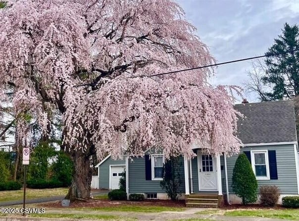 1316 FREAS Avenue, Berwick, PA 18603
