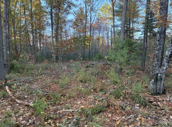 Whittier Road lot: 16 (2), Farmington, ME 04938