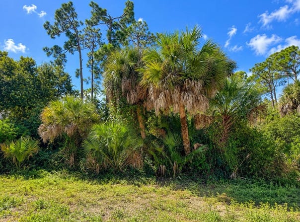 17129 NIXON Avenue, PORT CHARLOTTE, FL 33948